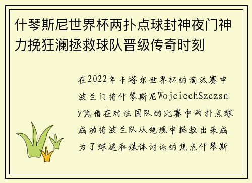 什琴斯尼世界杯两扑点球封神夜门神力挽狂澜拯救球队晋级传奇时刻
